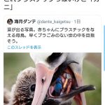 レス1番の画像サムネイル