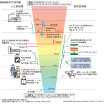 レス2番の画像サムネイル