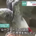 レス1番のサムネイル画像