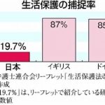 レス9番のサムネイル画像