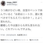 レス1番のサムネイル画像