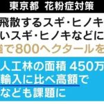 レス13番のサムネイル画像