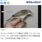 レス1番のサムネイル画像