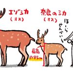 レス1番のサムネイル画像