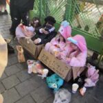 レス2番のサムネイル画像