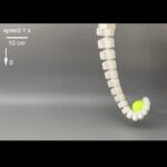 レス3番のサムネイル画像