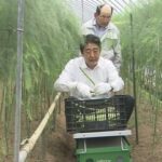 レス1番のサムネイル画像