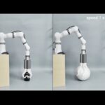 レス3番のサムネイル画像