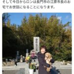 レス1番のサムネイル画像