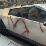 レス3番のサムネイル画像