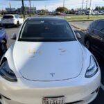 レス3番のサムネイル画像