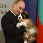 レス8番のサムネイル画像