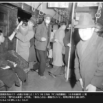 レス11番のサムネイル画像