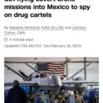 レス15番のサムネイル画像