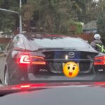 レス2番のサムネイル画像