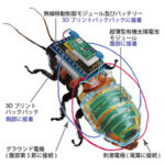 レス2番のサムネイル画像