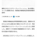 レス1番のサムネイル画像