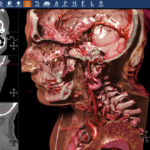 レス12番のサムネイル画像