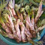 レス13番のサムネイル画像