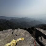 レス2番のサムネイル画像