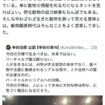 レス1番のサムネイル画像