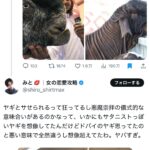 レス2番のサムネイル画像