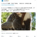 レス3番のサムネイル画像