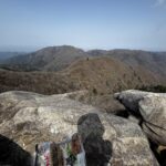 レス3番のサムネイル画像