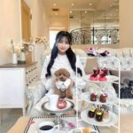 レス2番のサムネイル画像