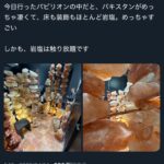 レス1番のサムネイル画像