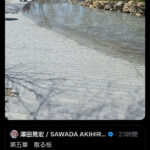 レス1番のサムネイル画像