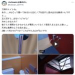 レス29番のサムネイル画像