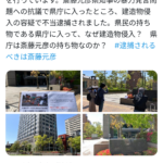 レス1番のサムネイル画像