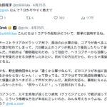 レス6番のサムネイル画像