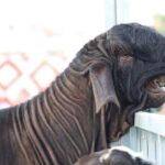 レス1番のサムネイル画像