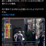 レス2番のサムネイル画像