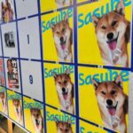 レス1番のサムネイル画像