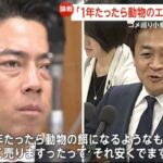 レス1番のサムネイル画像