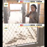 レス1番のサムネイル画像