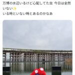 レス1番のサムネイル画像