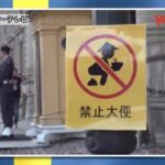 レス15番のサムネイル画像