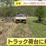 レス1番のサムネイル画像