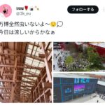 レス1番のサムネイル画像