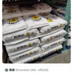 レス1番のサムネイル画像