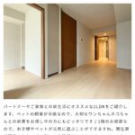 レス1番のサムネイル画像