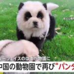 レス1番のサムネイル画像