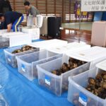 レス1番のサムネイル画像