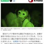 レス1番のサムネイル画像