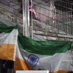 レス2番のサムネイル画像