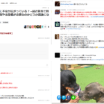 レス1番のサムネイル画像